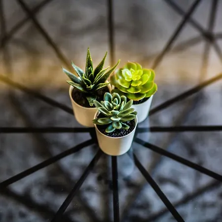 Downtown Marcius Luxury With Jacuzzi & Sauna ザダル