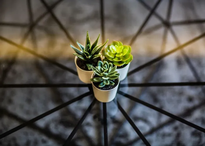 Downtown Marcius Luxury With Jacuzzi & Sauna ザダル